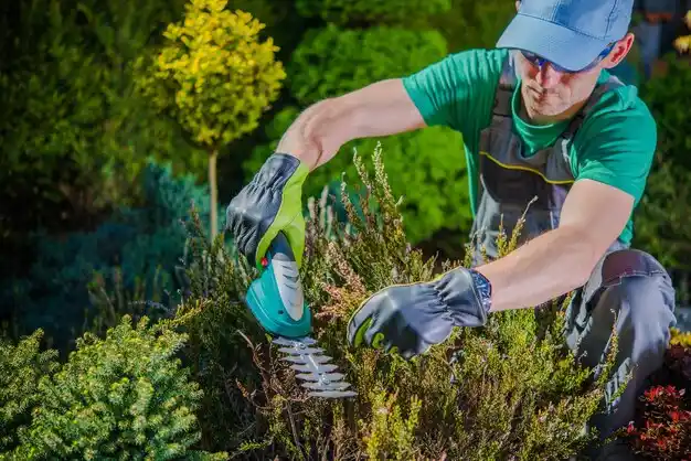 landscaping services Fruit Hill
